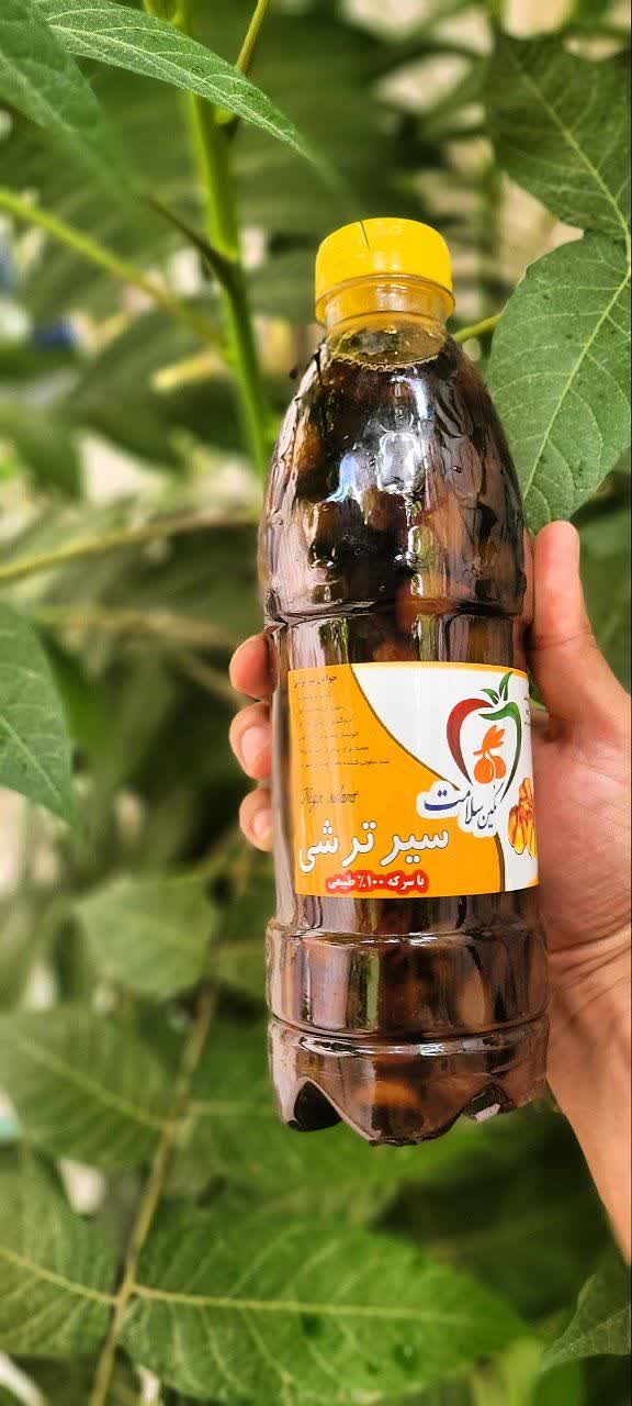 ترشی سیر 